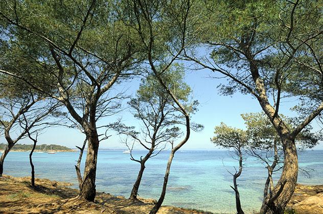 Islas de Europa: isla francesa de Porquerolles