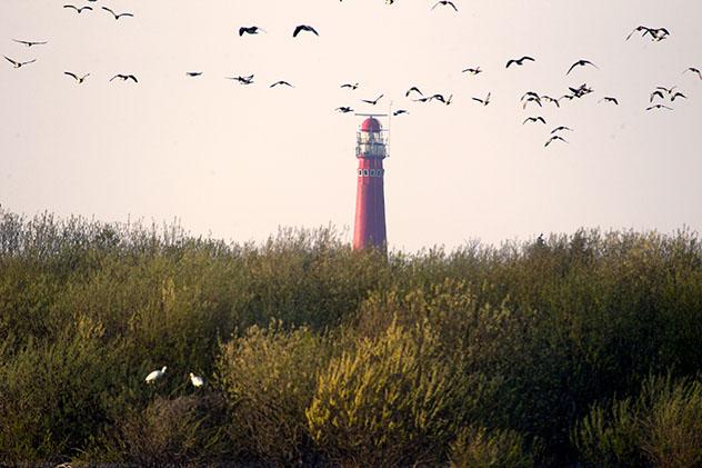 Islas de Europa: isla holandesa de Schiermonnikoog