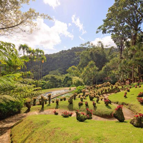 Jardín de Balata, Martinica