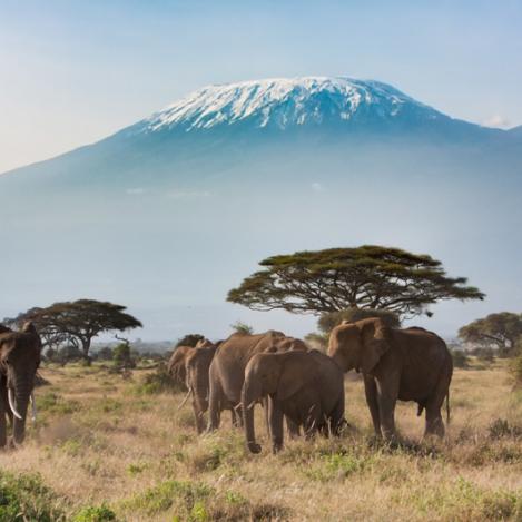 Monte Kilimanjaro, Tanzania