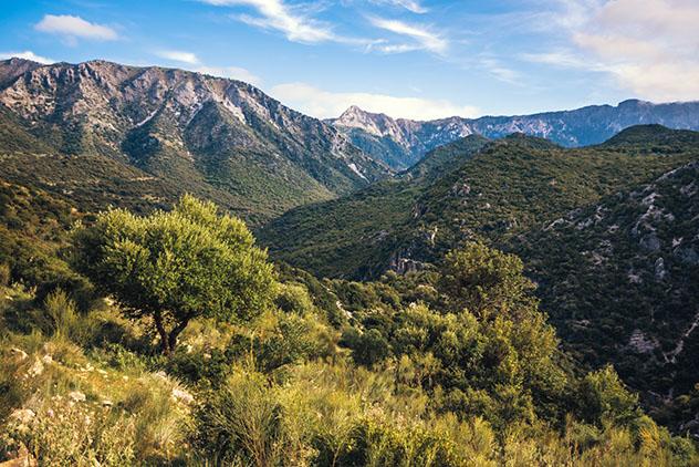 Provincia de Cádiz: Sierra de Grazalema, Gargante Verde