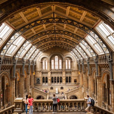 Museo de Historia Natural, Londres, Inglaterra