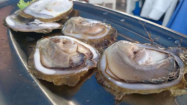Ostras en restaurante de Dubrovnik