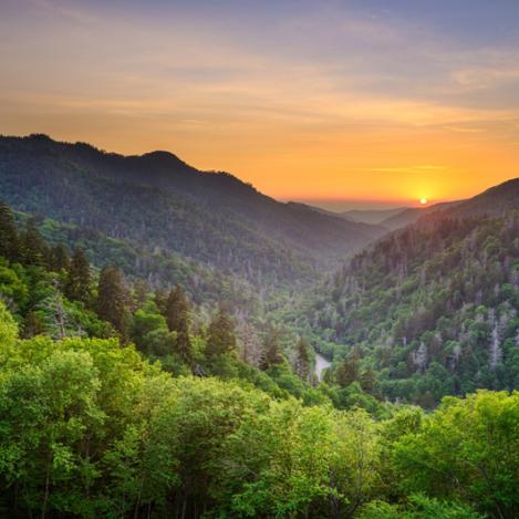 Montes Great Smoky, Costa este de Estados Unidos