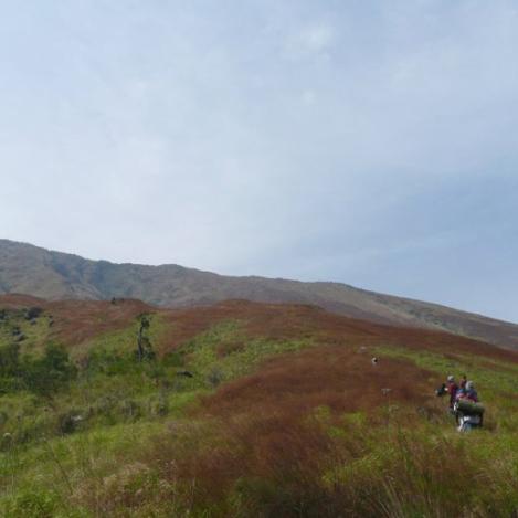Monte Camerún, Camerún