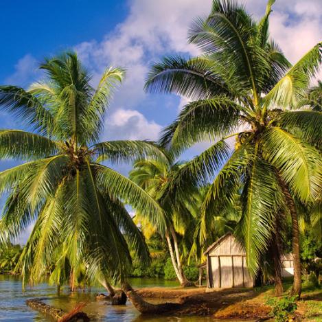 Île aux Nattes, Madagascar
