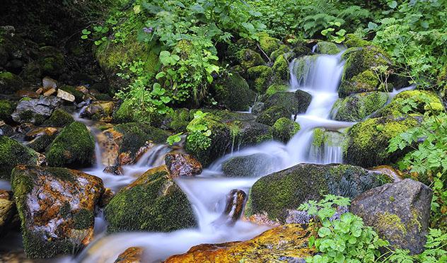 Deshielo del río Nalón, primavera en el Parque Natural de Redes, Asturias, España © StockPhotoAstur / Shutterstock