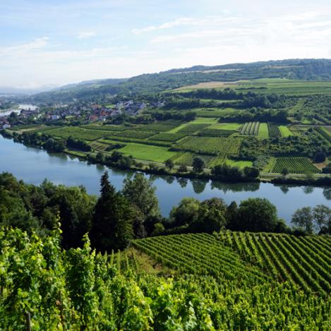 Valle del Mosela, Luxemburgo