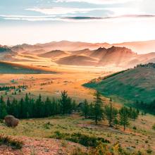 Amanecer en Mongolia, Tobias Gaiser/Shutterstock ©