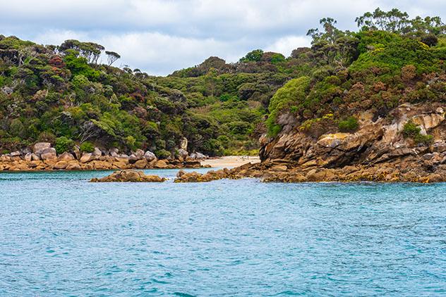 Isla de Stewart, la isla diferente de Nueva Zelanda