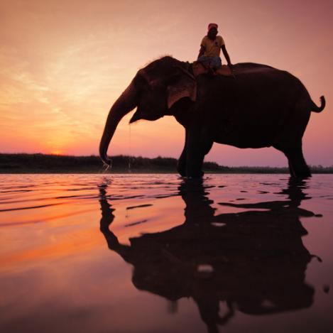 Parque Nacional de Chitwan, Nepal