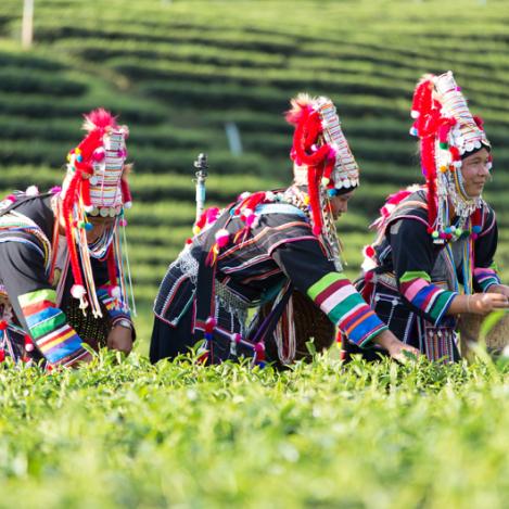 Comunidad akha, Laos