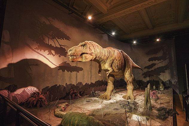 Espectacular dinosaurio, Museo de Historia Natural, Londres