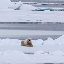 Svalbard, Noruega