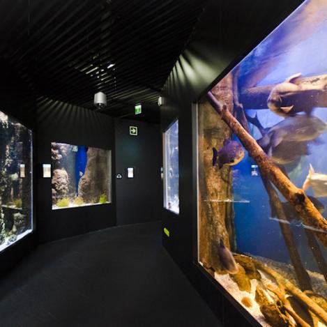 Aquarium de San Sebastián, San Sebastián, País Vasco, España