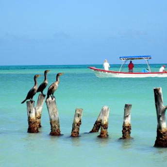 Isla Cozumel, Riviera Maya, México