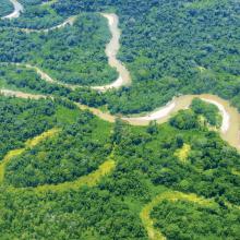 Río Napo, Amazonas, Ecuador