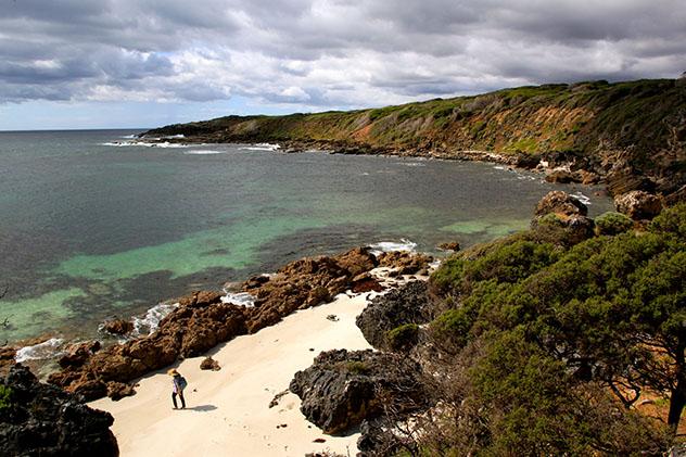 Excursión por los bosques o por la increíble costa de Margaret River, Australia Occidental, Top 01 de Best in Asia Pacific 2019, los 10 mejores destinos de Asia-Pacífico
