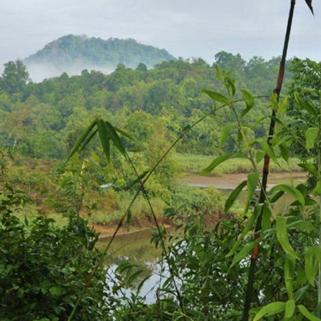 Parque Nacional de Cat Tien, Vietnam