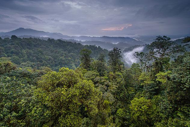 Vistas desde Mashpi Lodge sobre su reserva de selva pluvial, Ecuador © Philip Lee Harvey / Lonely Planet