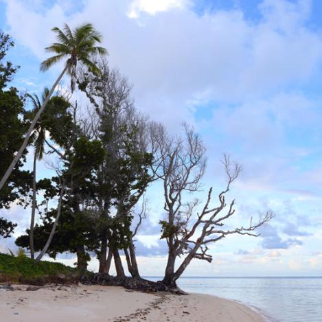 Laura, Islas Marshall