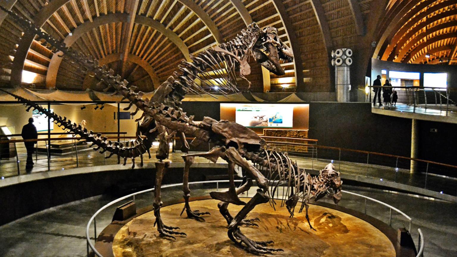 Museo Jurásico