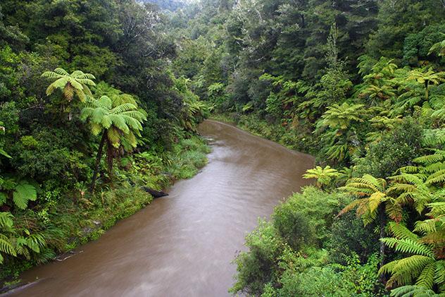 Río Whanganui, Nueva Zelanda © Sasapee / Shutterstock