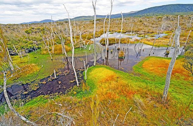Isla de Stewart, la isla diferente de Nueva Zelanda