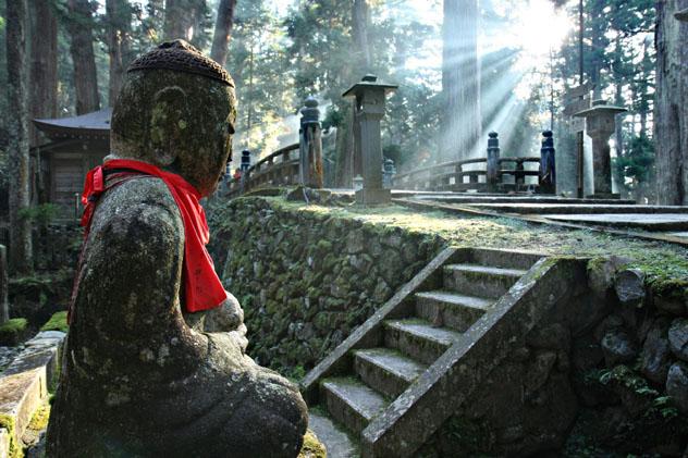 La luz del sol se cuela entre los árboles en el cementerio Oku-no-in, Kōya-san, Península de Kii, Japón © Neale Cousland / Shutterstock