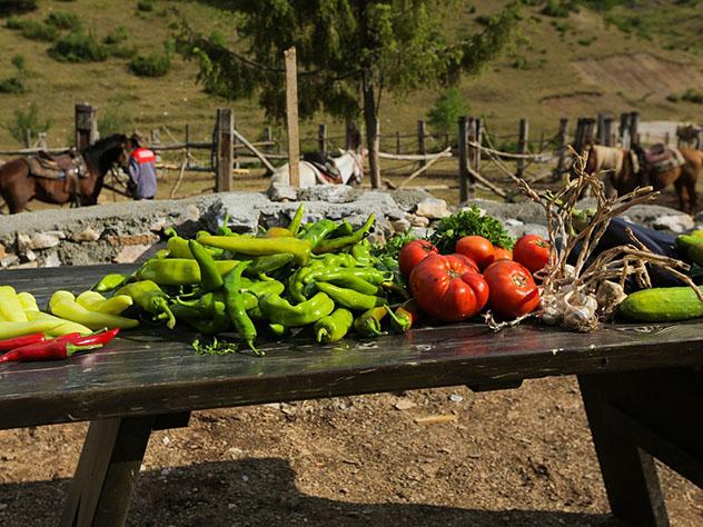 El rancho Sherpa de Galičnik, Macedonia del Norte