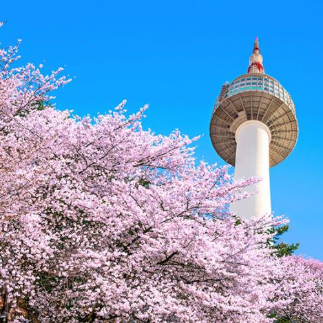 N Seoul Tower, Seúl, Corea del Sur