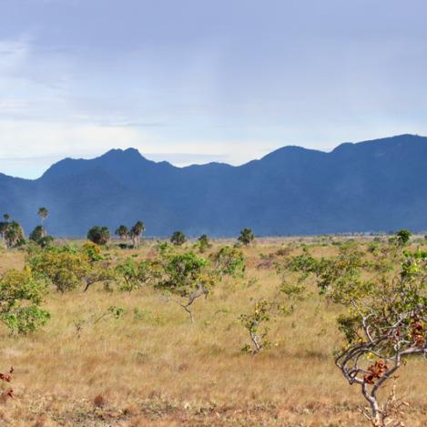 Sabana de Rupununi, Guyana