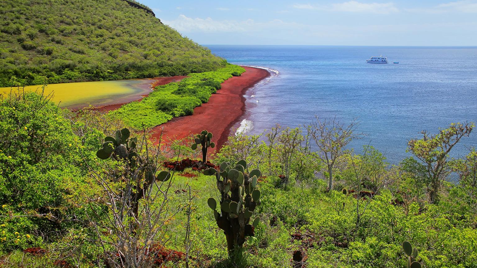 Isla Rábida, Galápagos, Ecuador