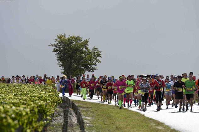 Marathon du Médoc, Francia © www.marathondumedoc.com
