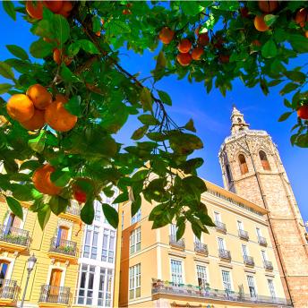 Plaza de la Reina, Valencia, España