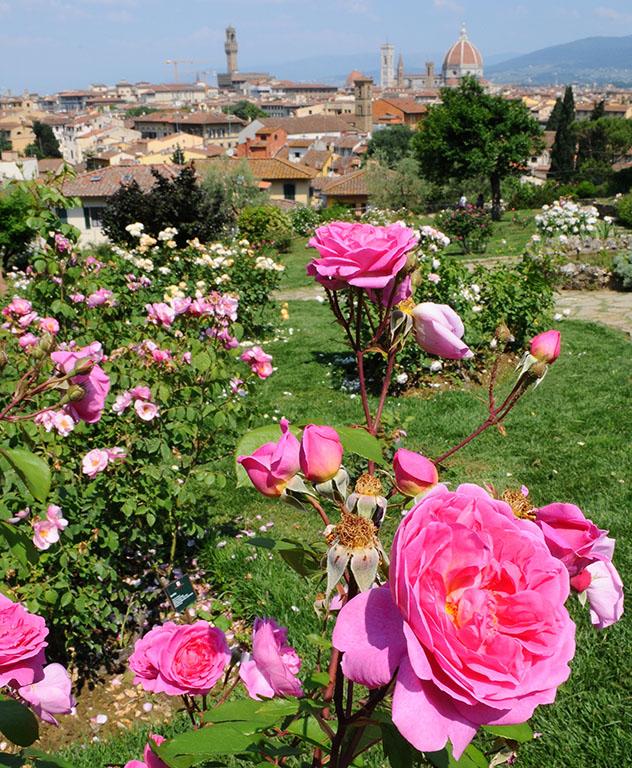 Giardino delle rose, Florencia, Toscana, Italia © Dan74 / Shutterstock