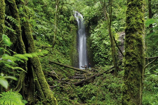 En busca de cascadas en el bosque nuboso de Chiriquí. 