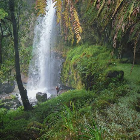 Los Aberdare, Kenia