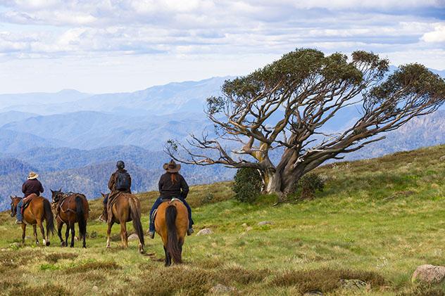 Turismo sostenible: comunidad. De ruta en Victoria, Australia