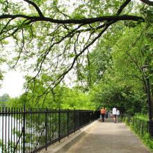 Reservoir del Central Park, Nueva York, Estados Unidos