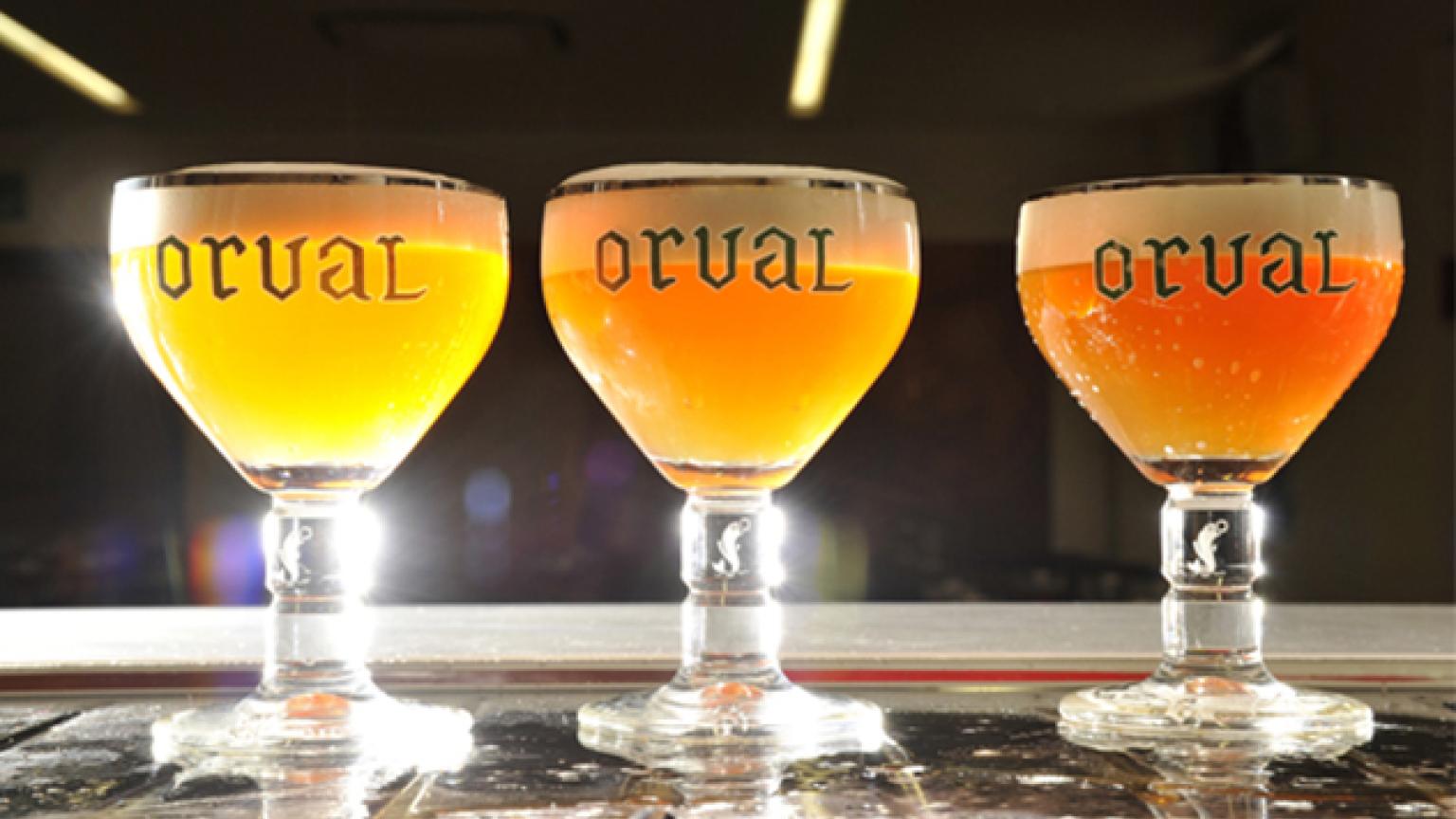 Cerveza está en Valonia, Bélgica