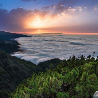 Tenerife, Canarias, España