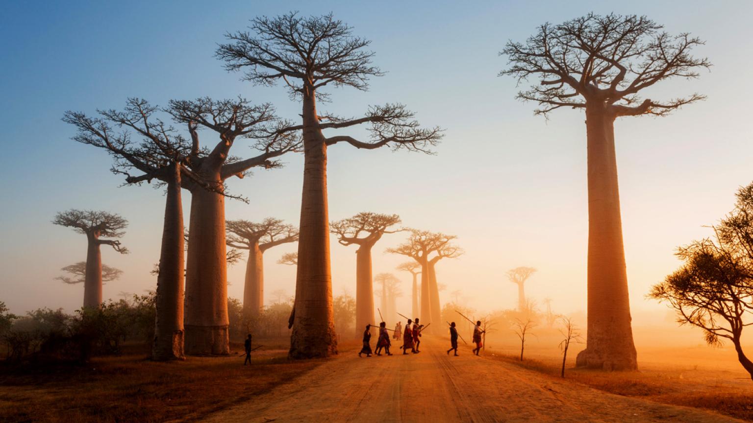 Madagascar