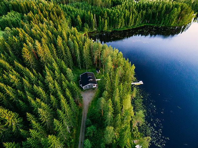 Naturaleza, un libro para acercarse a la conexión con la naturaleza
