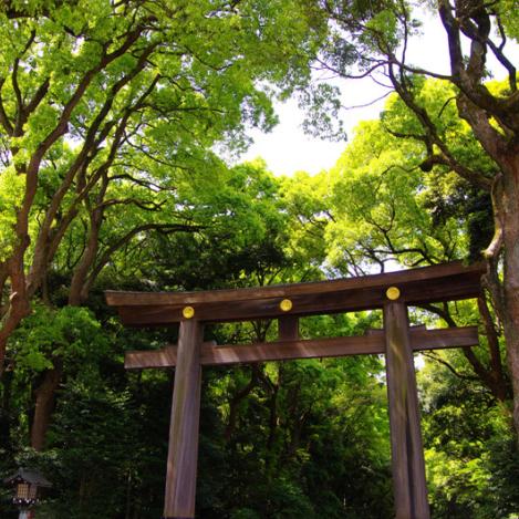 Meiji-jingū, Tokio, Japón