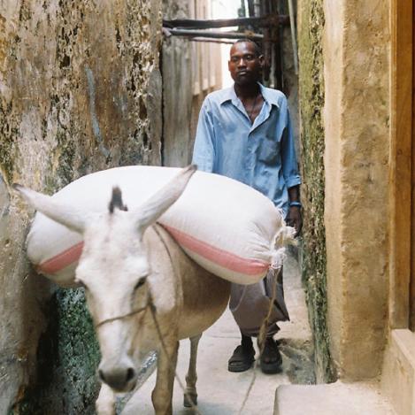 Las callejuelas de Lamu, Kenia