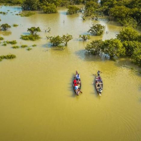 Ratargul, Sylhet, Bangladés.