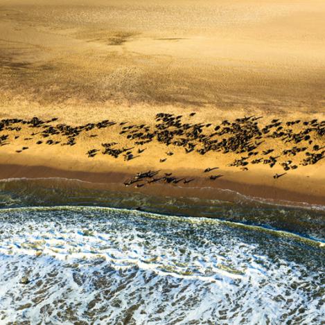 Costa de los Esqueletos, Namibia