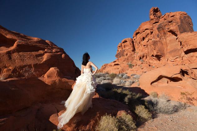 Boda, Fire State Park, Las Vegas, EE UU © Eric Patterson / Shutterstock