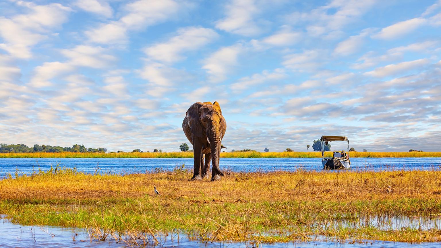 Parque Nacional de Chobe en Botsuana